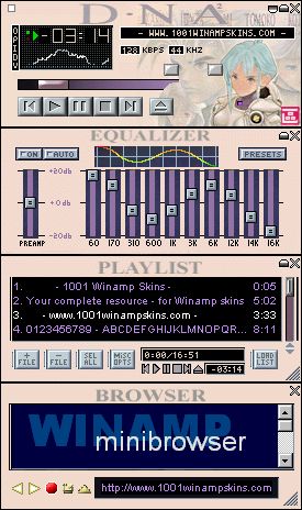 DNA²Amp v1.1