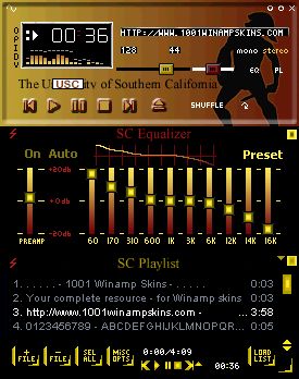 USC Amp v1.0